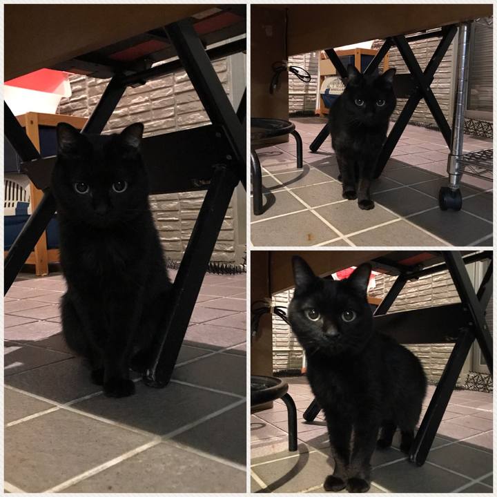 5fdf77d1 92dd 4ff6 abdb 71317e99ebcb