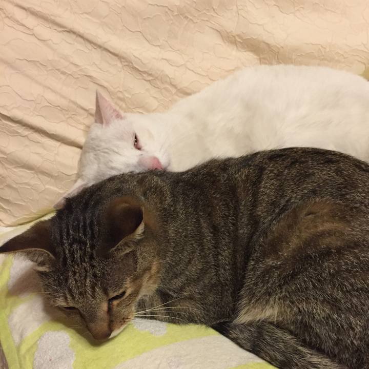 5fdfe2ad 31c4 4481 8fd9 c94c8c815898