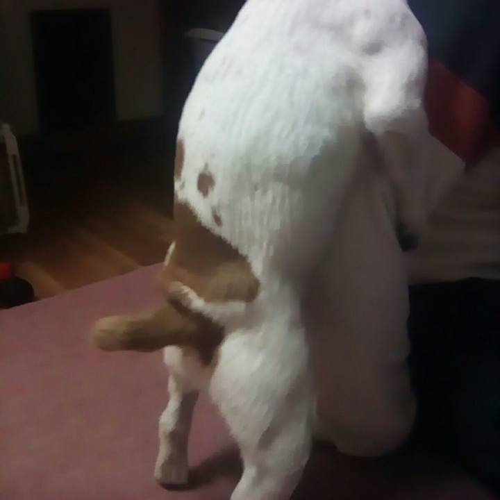 5fe0469a 988a 44df a2fe 2b56a0e5945f