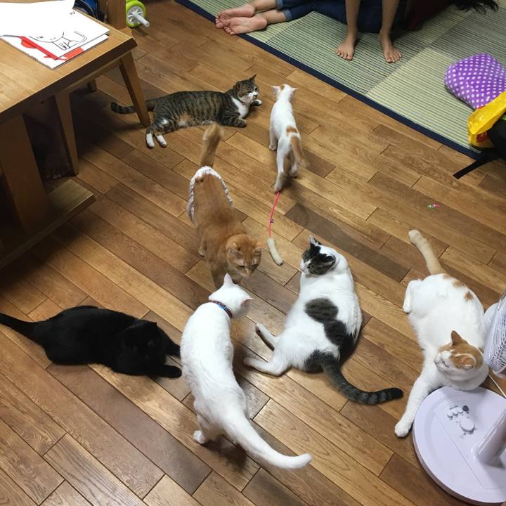 5fe05008 4597 4259 a20e 25d1a1752c7f