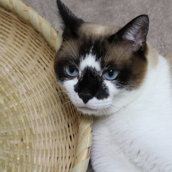 5fe081a2 c18e 43dd 8266 bb5ee0ac7bab