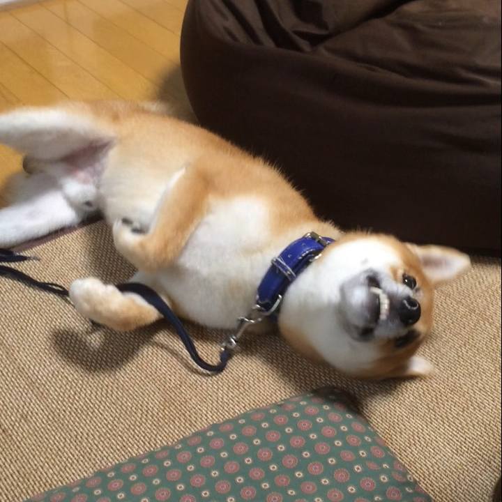 5fe0e62e 4aae 4a6c b021 c71fc984c029