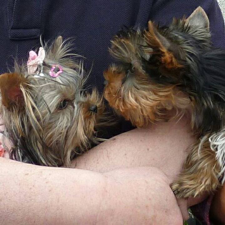 5fe0f09d 1390 4042 bfc0 60865ce73c95