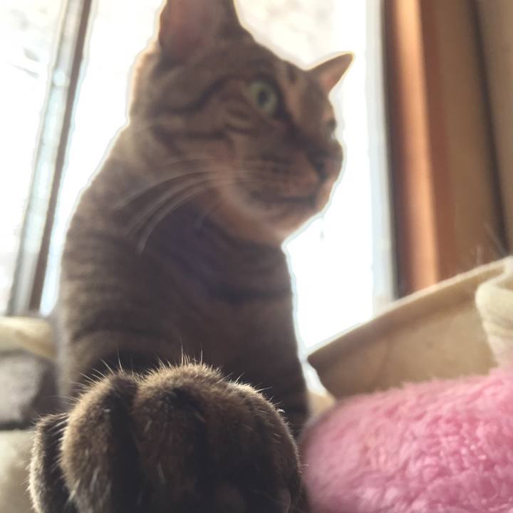 5fe1a14a 8cd0 45fb 8d2a 15bdd5cfbd72