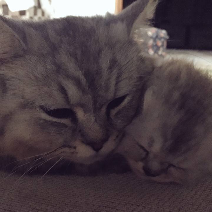 5fe1f697 44f4 4e2f 907d 65d6d45b9042