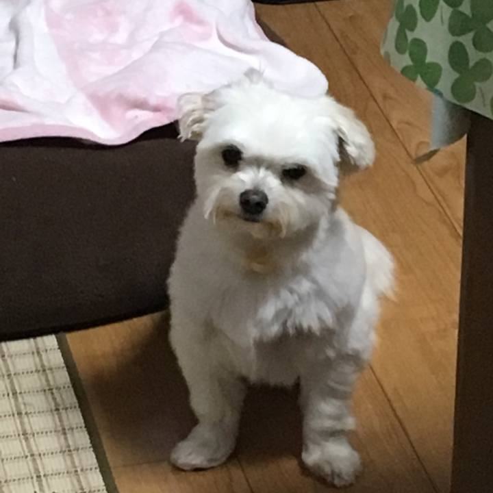 5fe1ffa8 c256 48a3 9000 6c30ba23ea03