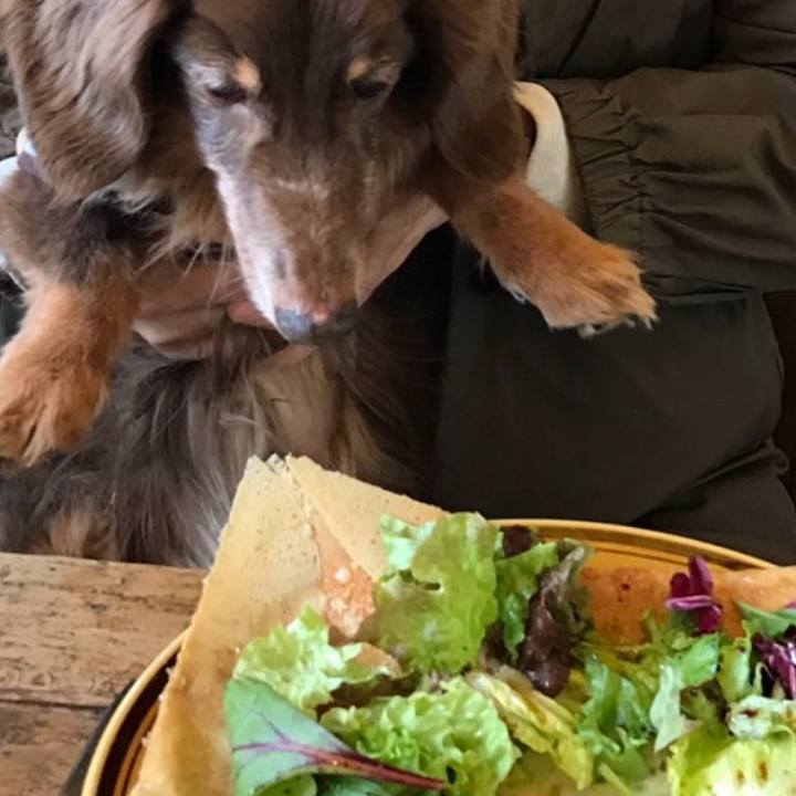 5fe29b55 225c 4c67 8e6a a0691828be08