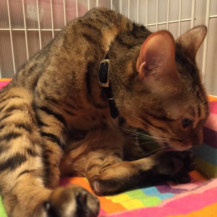 5fe2ba91 547e 4c96 9fd5 3158ad0bc466