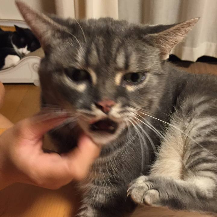 5fe33e10 0f1b 4aa7 b611 464cb3efd0a4