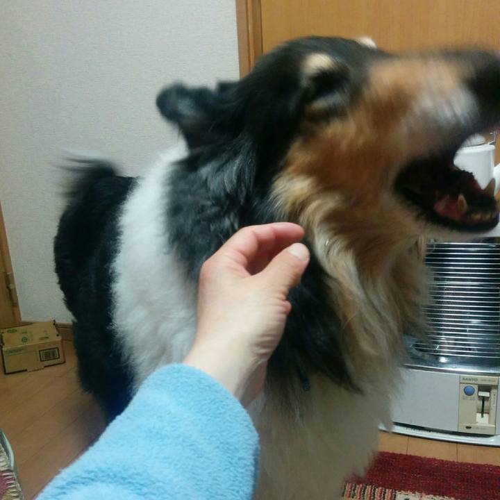 5fe38e05 cb9f 4e7b b3eb f9052096ff6d