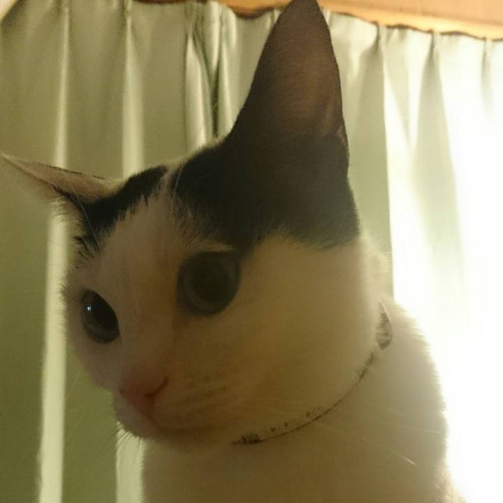 5fe3a188 2c92 4271 a80b 701b210e25a0