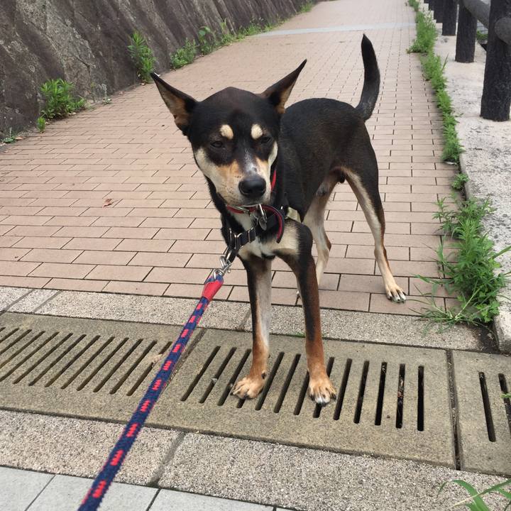 5fe402ad 53a9 4093 bd2f bcb1e4d61a4d