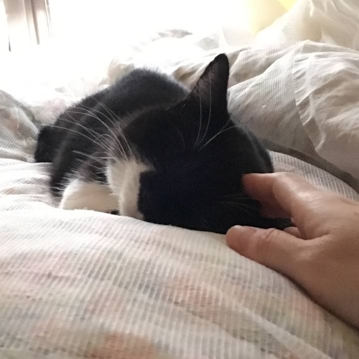 5fe4c122 1db3 41e9 acca 94bf618d2201