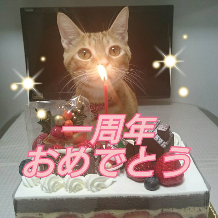 5fe4f49e b3fa 424e 8263 7de0d44e5156