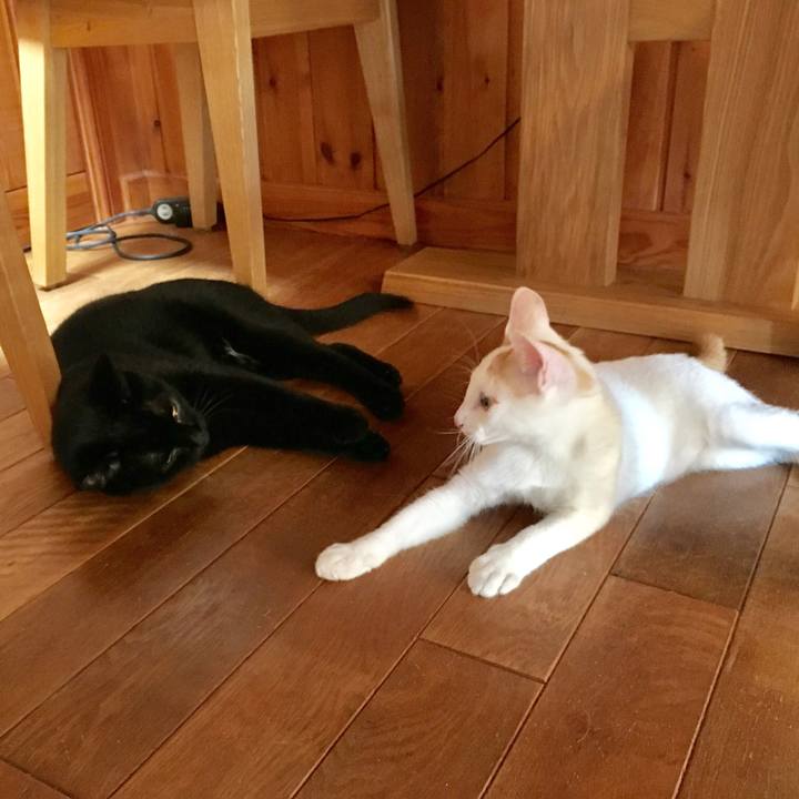 5fe4fd49 432b 4f75 ba79 a40e770eca13