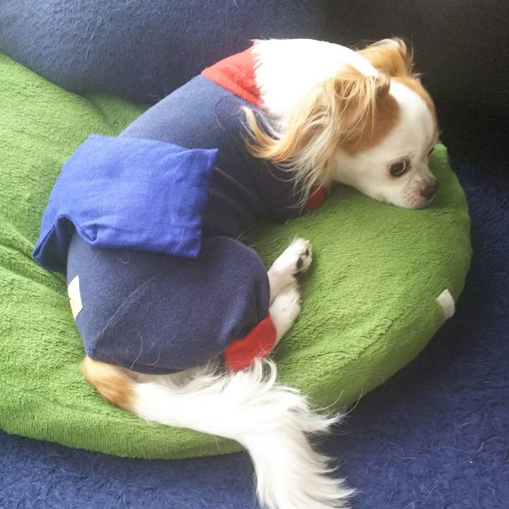 5fe5451d 86e3 4e8c b65a ae09ee560ed5