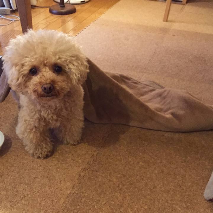 5fe5a9a2 7666 4b95 b32b 9392e34a8acb