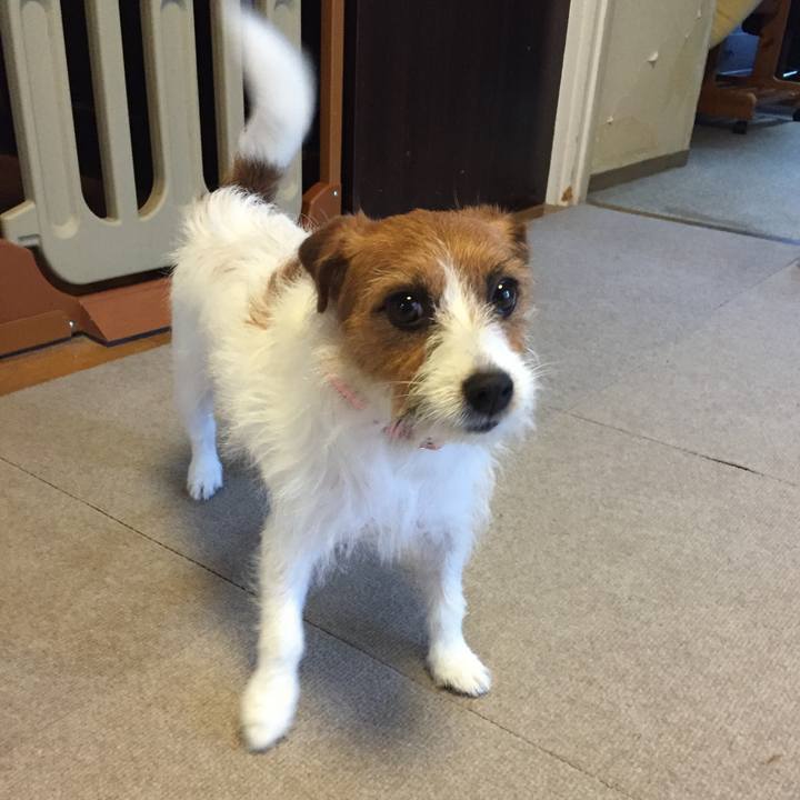 5fe5c4ef 9faa 47bb b20e 6495d4a402df