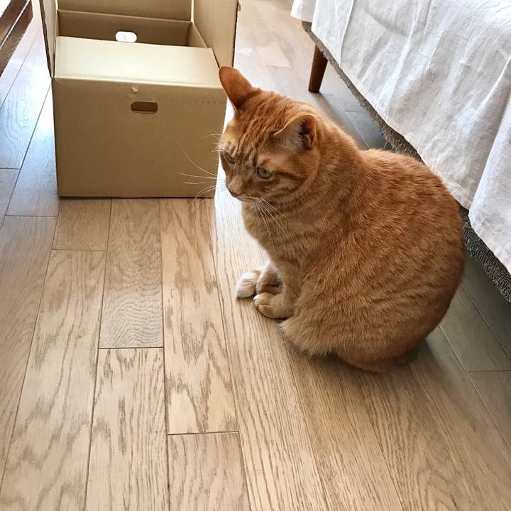 5fe61089 3132 46ea a210 964063eaca64