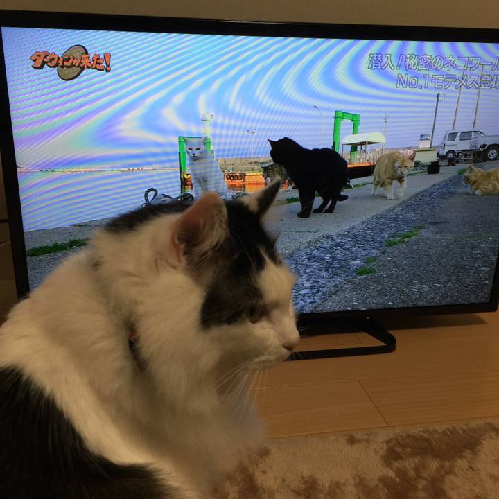 5fe6bcdf 9e59 42eb bbe4 315a3aec54aa