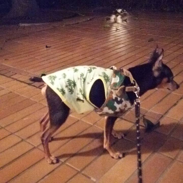 5fe6e5e4 7b6f 4477 b1a5 e261d18c83f7