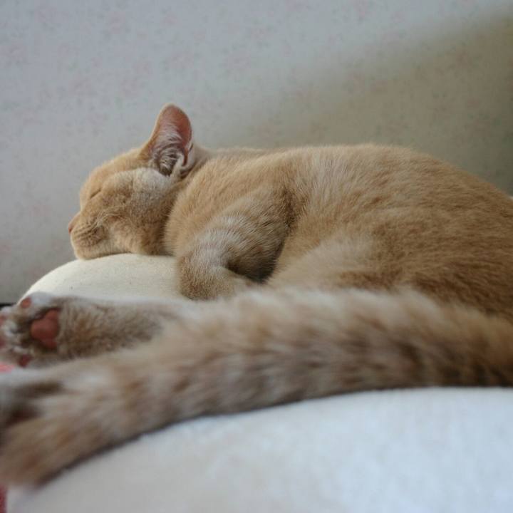 5fe705f7 d83f 4b2e a0a0 59ee746d0d51