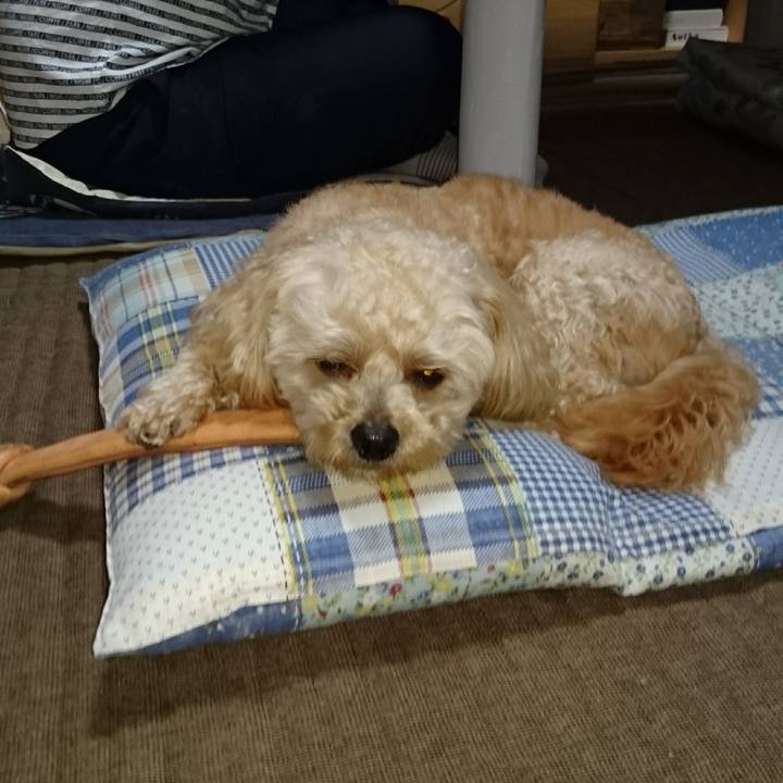 5fe70f90 6c01 492d a3ed d1df1f7577f6