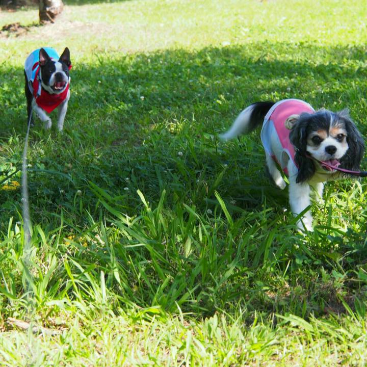 5fe73a59 a228 469b 97d0 698352e95cd3