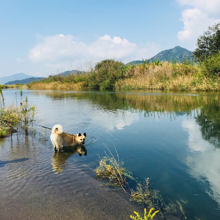 5fe74608 e317 4500 80c2 55c1b31d679b