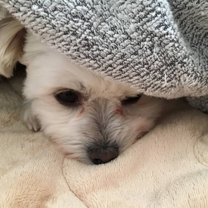 5fe75610 f4ee 4d20 b7bd f1eed2a53f21