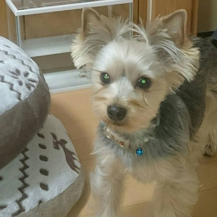 5fe7830c 074b 4c46 93d0 9bd866cd931f