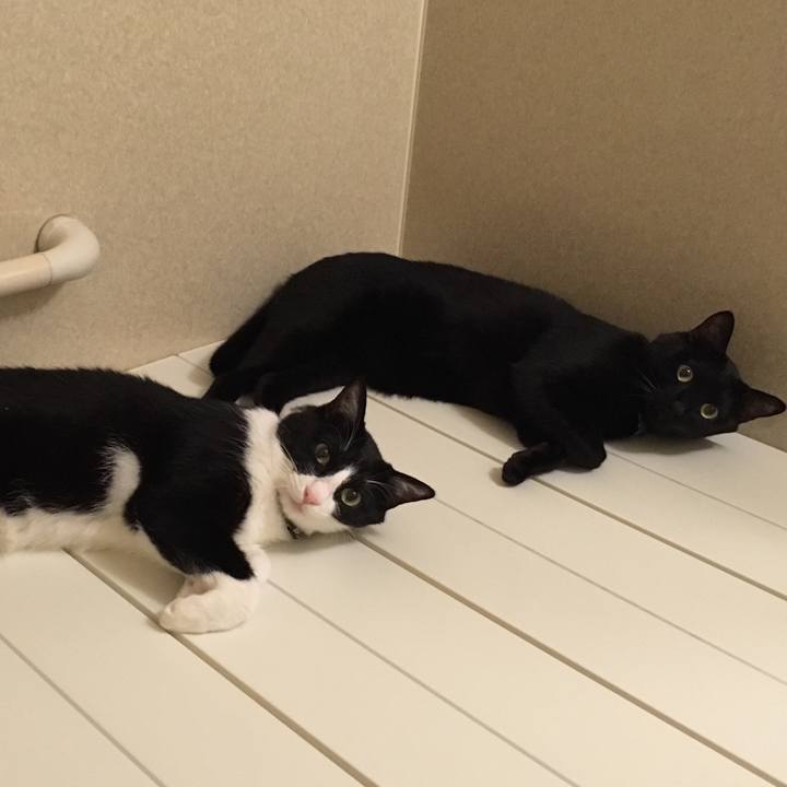 5fe79687 af6f 426f 8652 c236c0b4ddf7