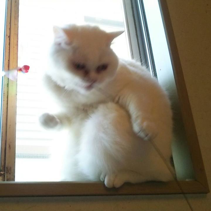 5fe8077c af8d 4e36 9edf 1dee748f68f2