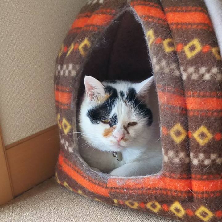 5fe90552 d922 422d 82d0 ad44f45f9d34