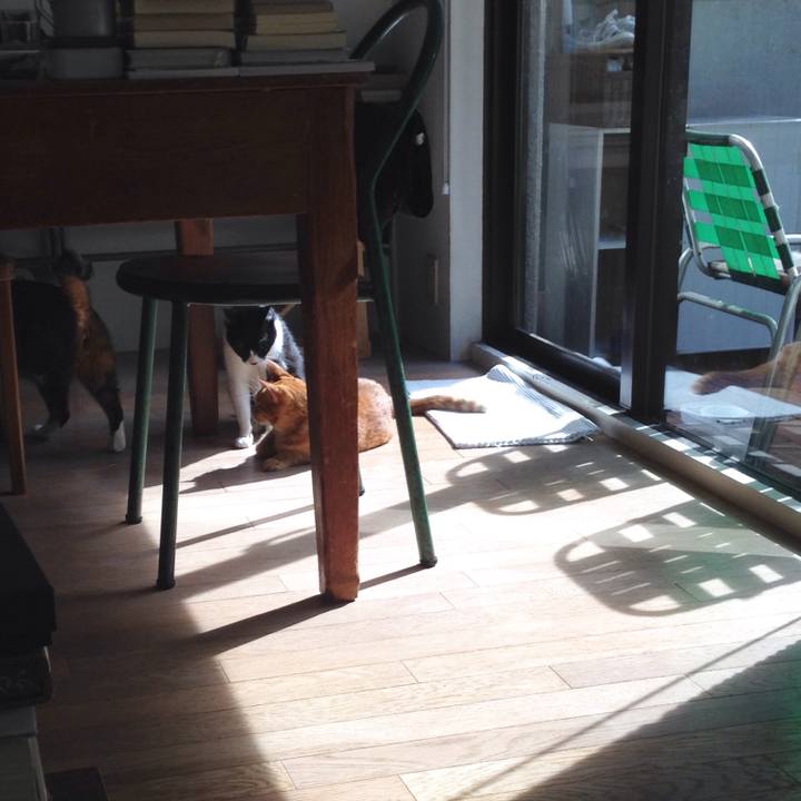 5fe980c9 3f6d 4d9c b987 574d6c20d5bc