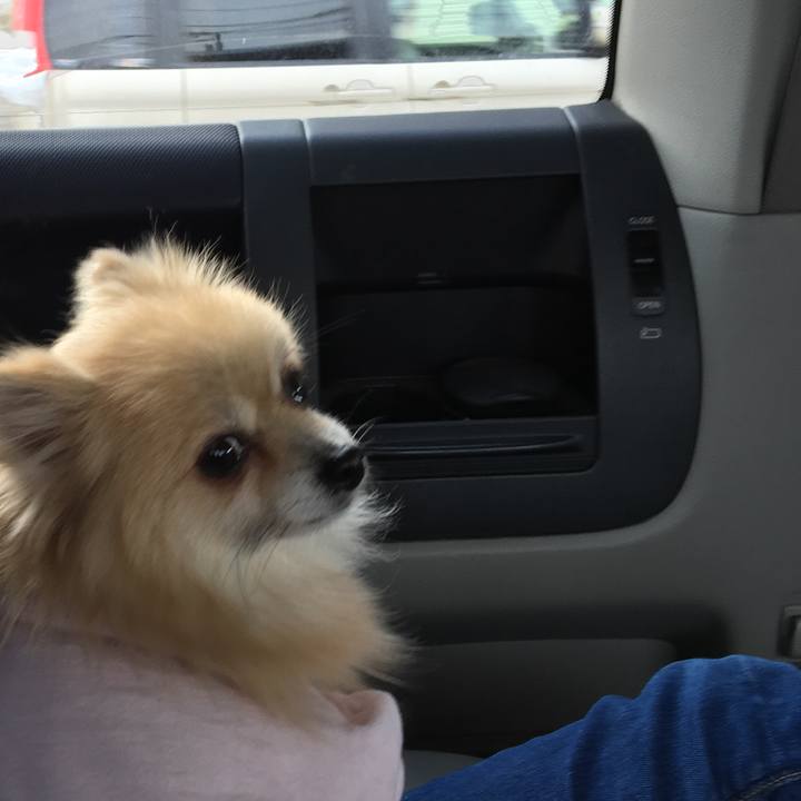 5fe9beb1 aee2 4339 b5d8 04cc5687afa3