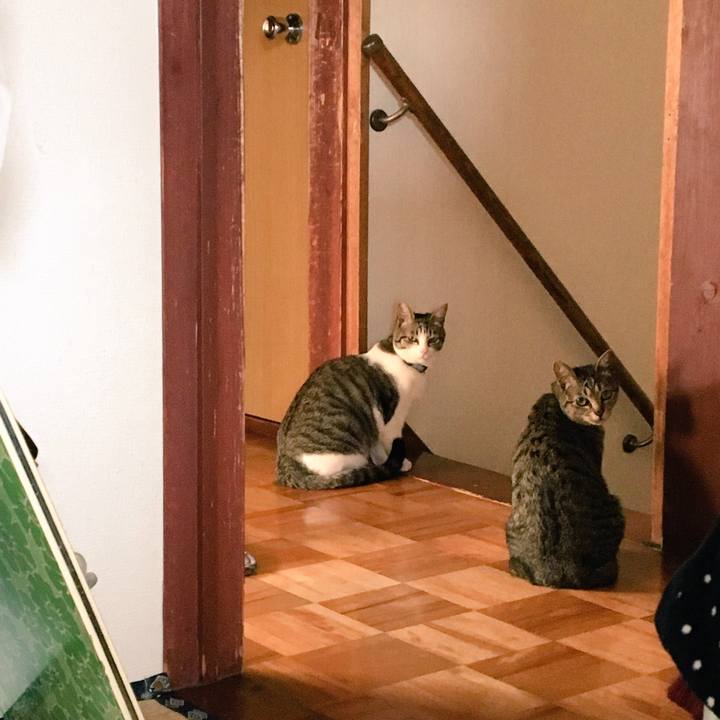 5fea4590 28b8 4af3 8981 f71c8223c3a7