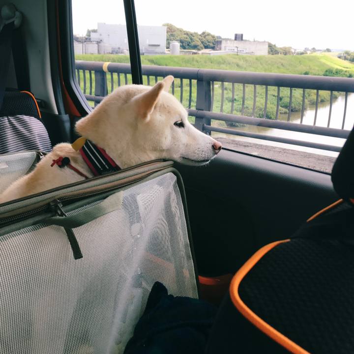 5feb0e82 931b 47d3 b391 52b3149ed5a2