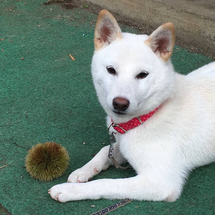 5feb2eb7 038a 4531 80b6 83bd9328fc1a