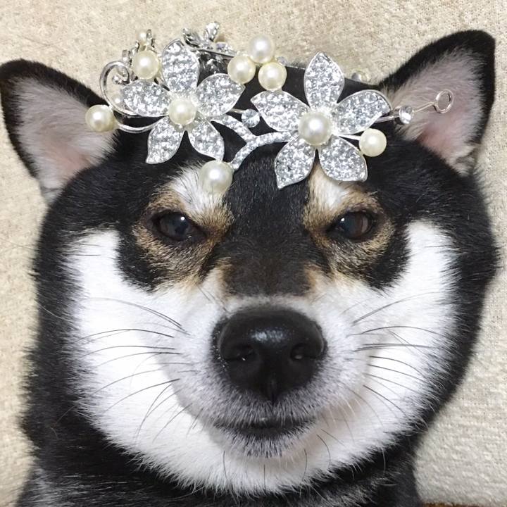 5feb5bb7 4e0f 4797 920f 0cfeee12bbd6