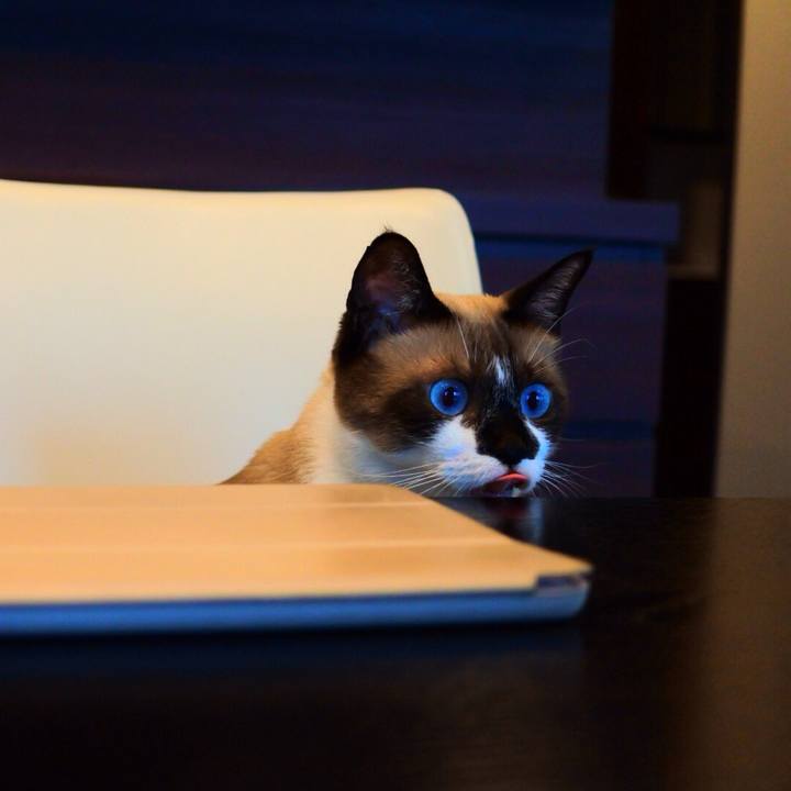 5feb6cbf 3067 4fb9 8673 e6e063625d28