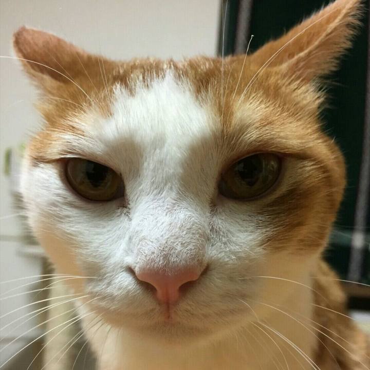 5febcfff 2229 477f 966b ed53290e86fc