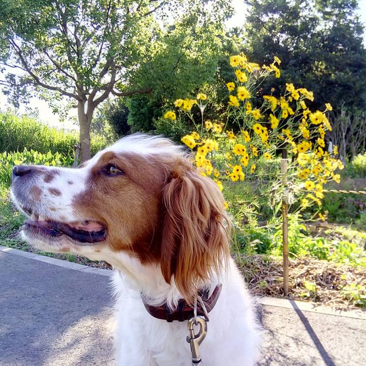 5fec1aeb 4b65 4df7 a00f 7919f0114235