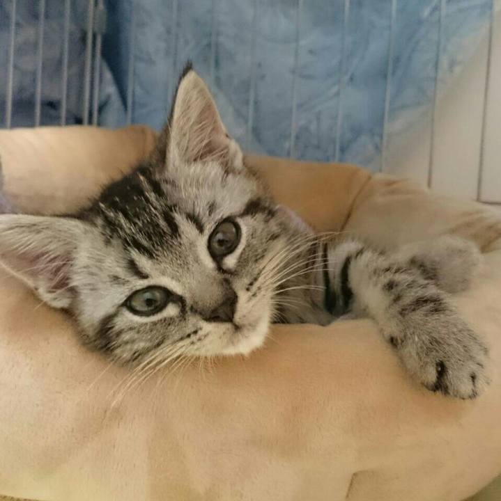 5fec3b33 7c38 4bd7 8412 0562fc6e1f5c