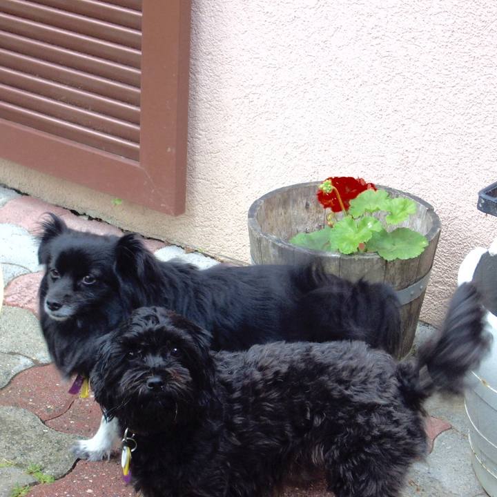 5fece12b f50f 46dd 86ff e158d12e6a9a