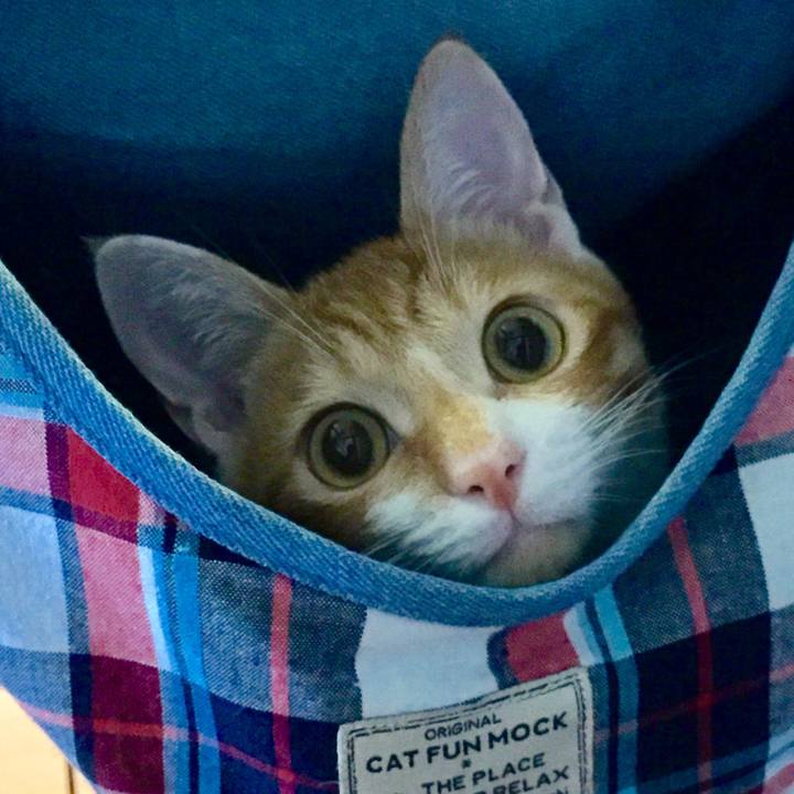 5fecfa1c 9c70 48c6 874b 62380340ade5