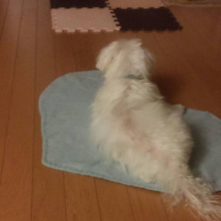 5fef2852 ea4e 416b 9f32 1b7d258728c0