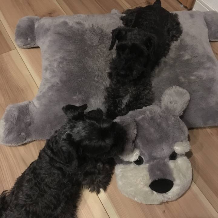 5fefcb52 d442 4fac 9cf2 007674070a6e