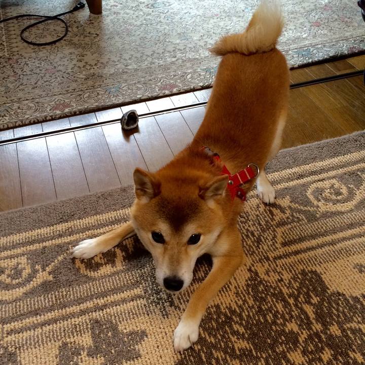 5ff0172a 0911 4cb8 b07c c107e050db22