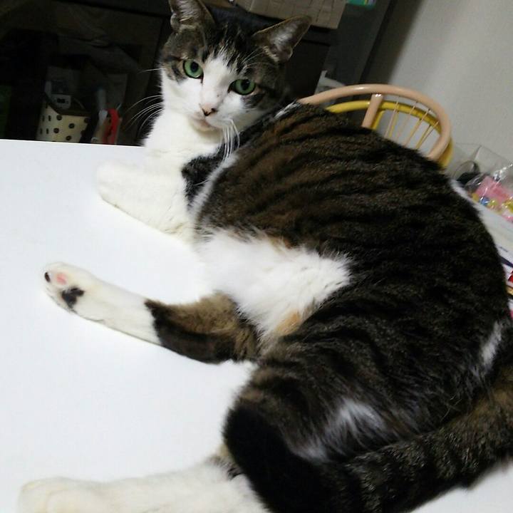 5ff02c50 1be9 4b85 88a7 7697f6a290b2